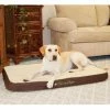 Best Sale ✔️ K&H Pet Products Orthopedic K&H Pet Products Memory Sleeper Pet Bed ???? 2 Best Sale ✔️ K&H Pet Products Orthopedic K&H Pet Products Memory Sleeper Pet Bed ???? -Lucky Dog Sales Store masterKHMA165