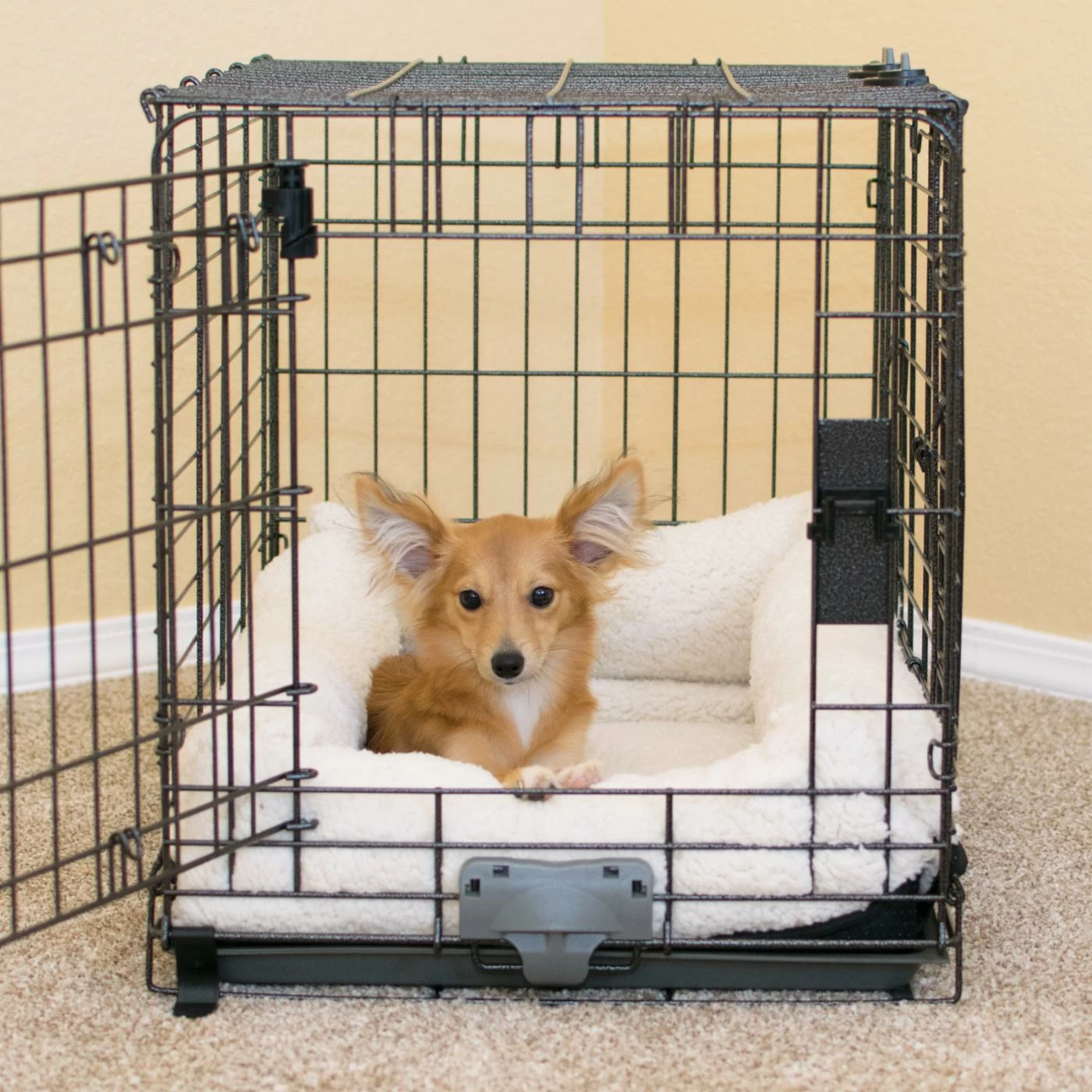 Outlet ???? K&H Pet Products K&H Pet Products Deluxe Bolster Crate Pad ???? 3 Outlet ???? K&H Pet Products K&H Pet Products Deluxe Bolster Crate Pad ????