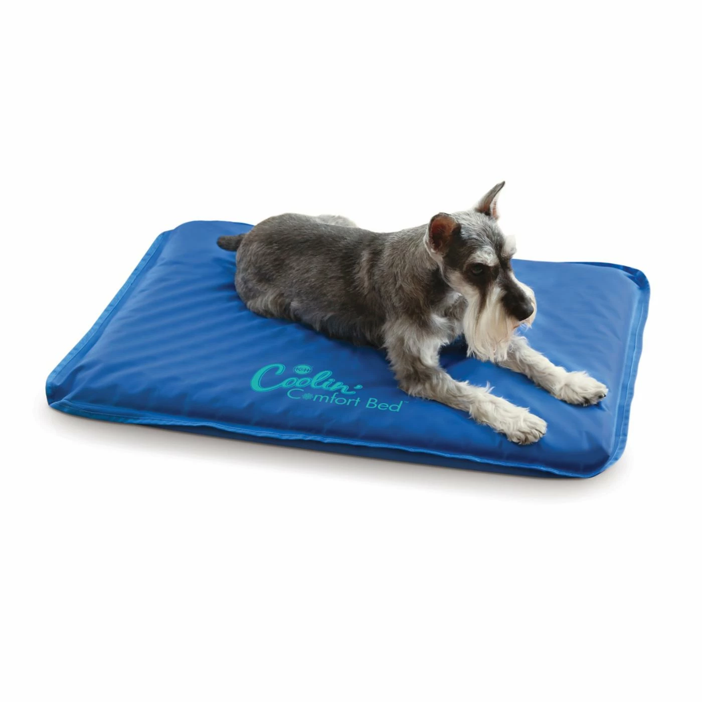 Coupon ⌛ K&H Pet Products ???? Dog Mats & Pads K&H Pet Products Coolin Comfort Bed ???? 3 Coupon ⌛ K&H Pet Products ???? Dog Mats & Pads K&H Pet Products Coolin Comfort Bed ????
