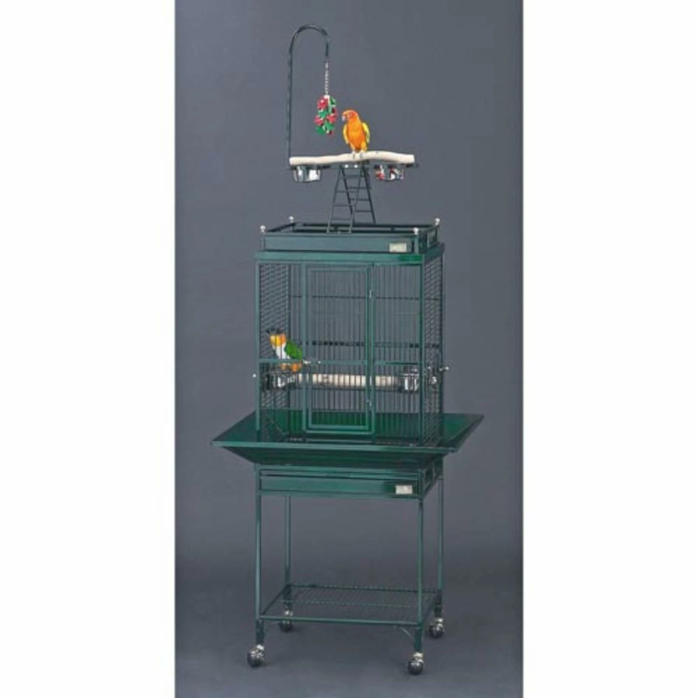 Avian Adventures Nina Playtop Bird Cage Cheap ❤️ Small Bird Cages Avian Adventures Nina Playtop Bird Cage ✨ -Lucky Dog Sales Store masterMH106