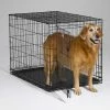 Brand new ???? Mid-West Homes For Pets ???? Dog Crate Accessories MidWest ICrate Folding Single Door ???? Dog Crate ???? 1 Brand new ???? Mid-West Homes For Pets ???? Dog Crate Accessories MidWest ICrate Folding Single Door ???? Dog Crate ???? -Lucky Dog Sales Store masterMH134