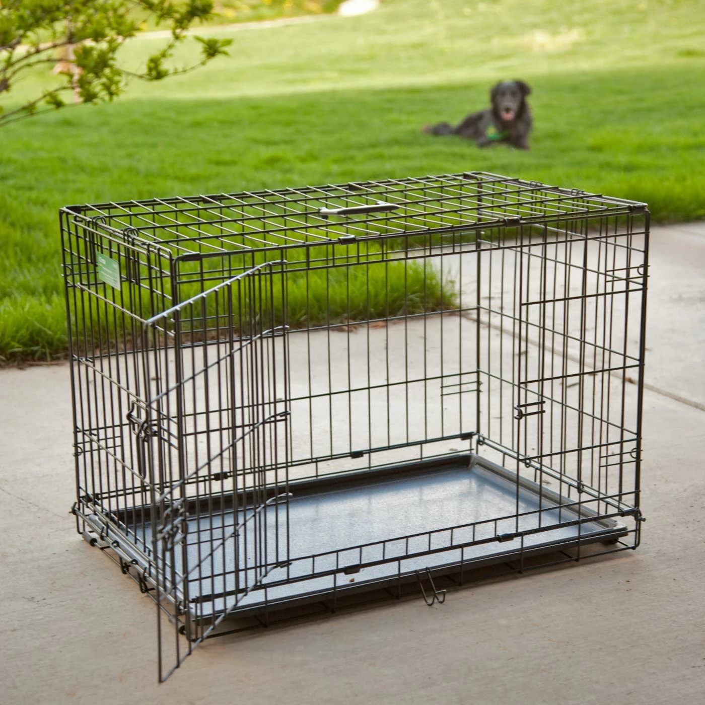 MidWest Homes For Pets iCrate Folding Double Door Metal Dog Crate Discount ✔️ Mid-West Homes For Pets ???? Dog Crate Accessories MidWest Homes For Pets ICrate Folding Double Door Metal ???? Dog Crate ✨ -Lucky Dog Sales Store masterMH135
