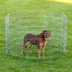 Buy ???? Dog Exercise Pens Prevue Pet Products Exercise Pen For ???? Dogs ????