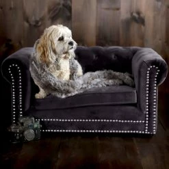 Hot Sale ???? Dog Bed Furniture TOV Furniture Husky Pet Bed ❤️