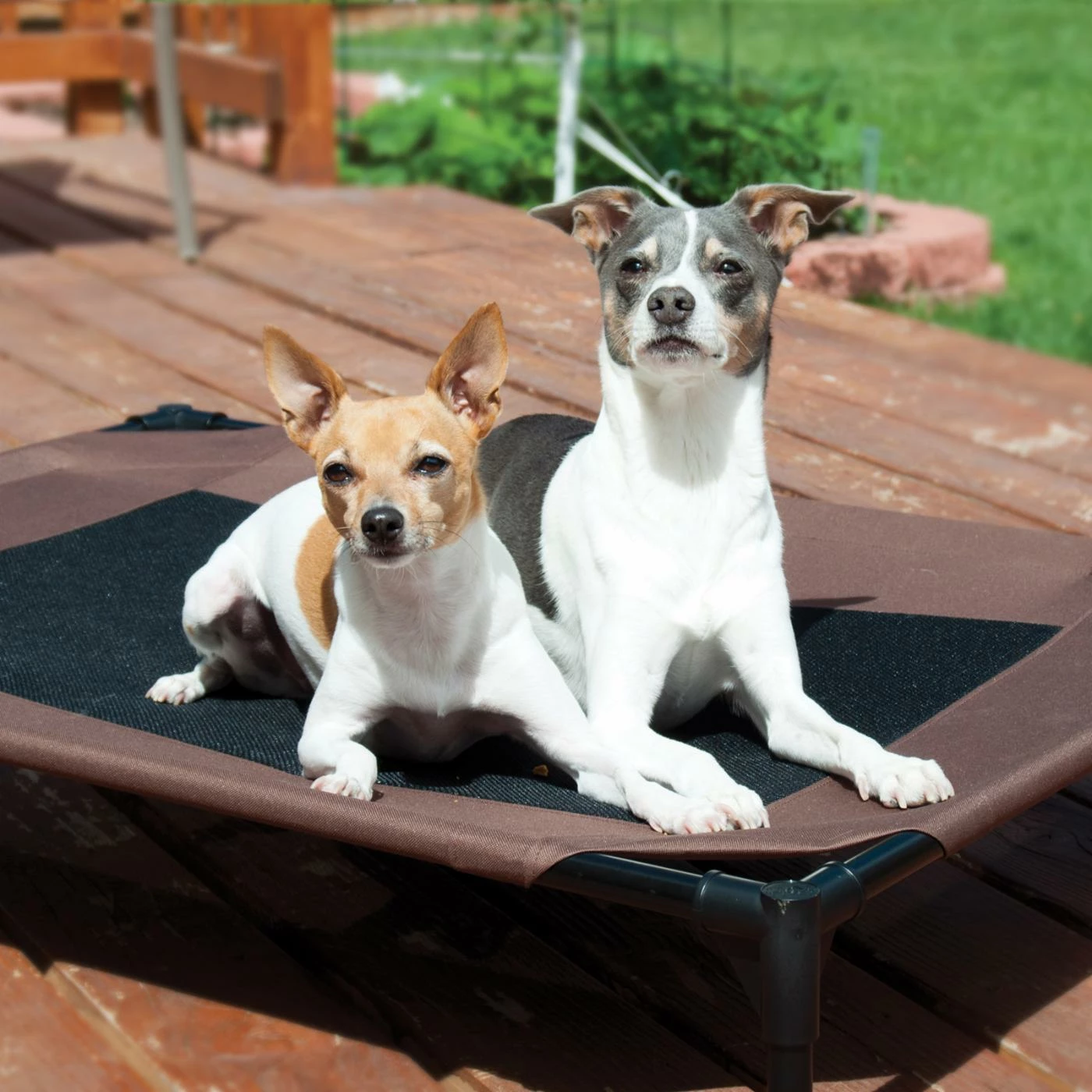Top 10 ???? K&H Pet Products Outdoor K&H Pet Products Original 2 Tone Pet Cot ???? 7 Top 10 ???? K&H Pet Products Outdoor K&H Pet Products Original 2 Tone Pet Cot ???? - Image 5