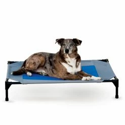 Outlet ???? K&H Pet Products Outdoor K&H Pet Products Cooling Pet Cot ???? 6 Outlet ???? K&H Pet Products Outdoor K&H Pet Products Cooling Pet Cot ???? -Lucky Dog Sales Store scaleKHMA014