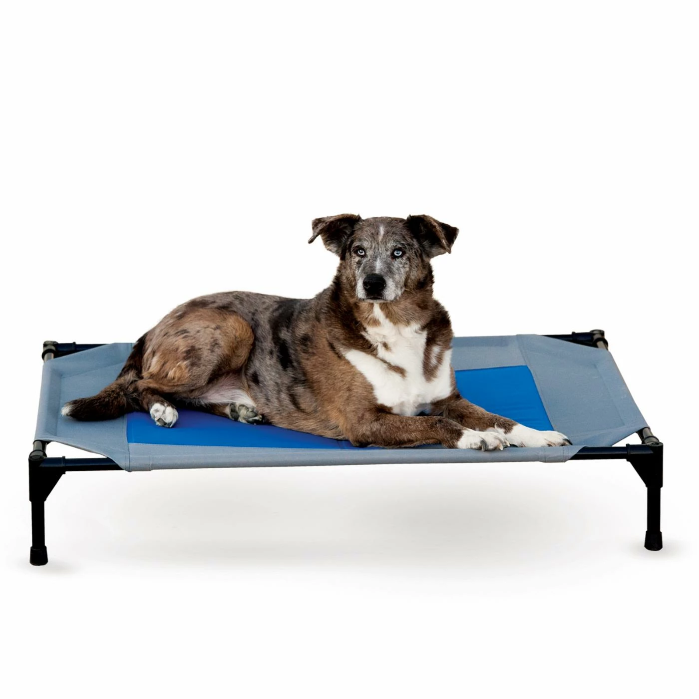 K&H Pet Products Cooling Pet Cot Outlet ???? K&H Pet Products Outdoor K&H Pet Products Cooling Pet Cot ???? -Lucky Dog Sales Store scaleKHMA014