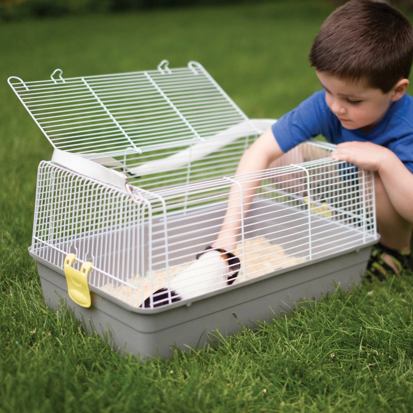 Deals π₯° Medium Bird Cages Prevue Pet Products Universal Pet Carrier Gray π - Image 5